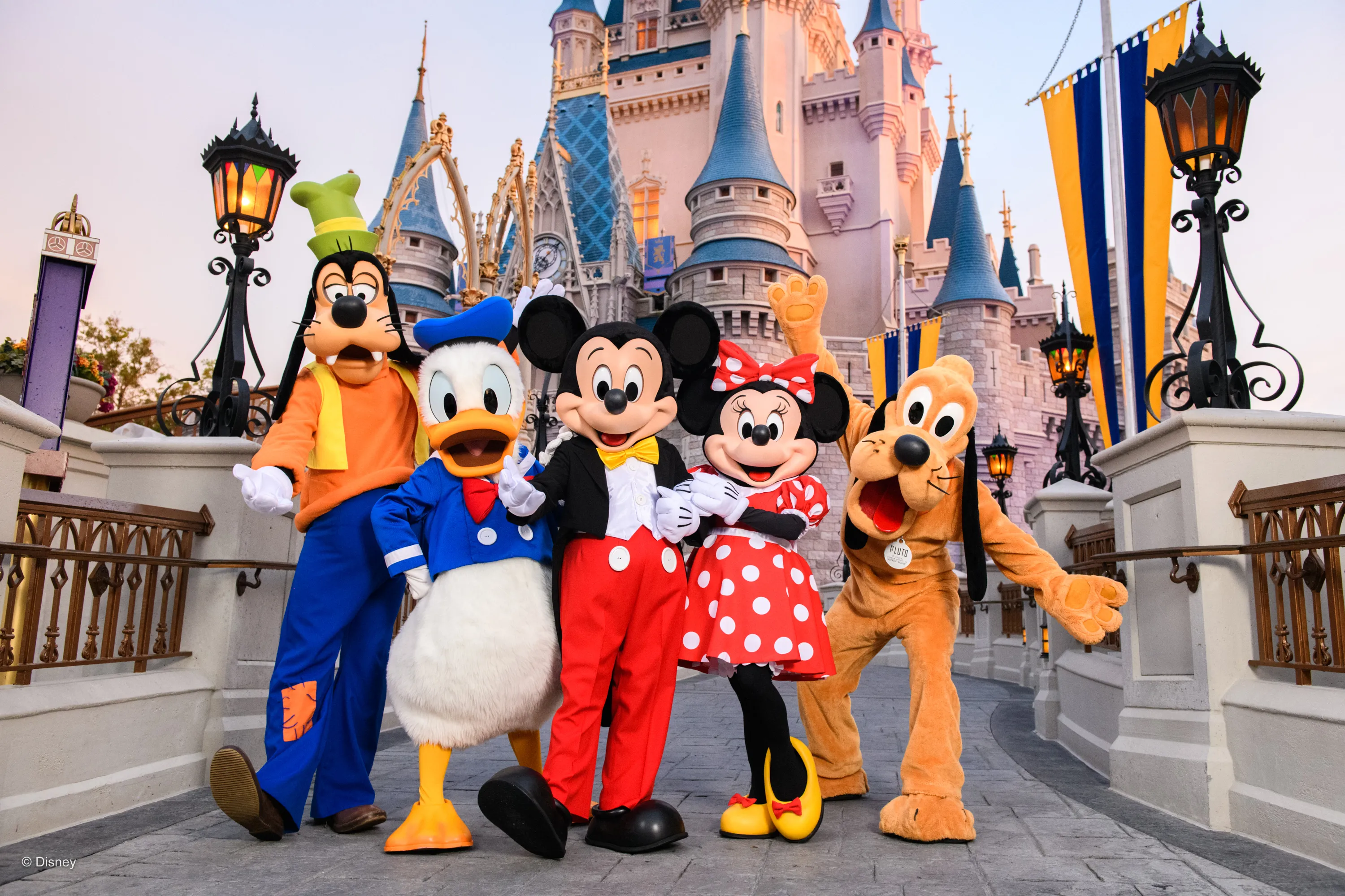 Goofy, Donald Duck, Mickey Mouse, Minnie Mouse, and Pluto posing for a picture in front of Magic Kindom Castle.